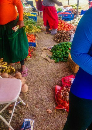 UWI Farmer's Market www.lifeofajamaican.com
