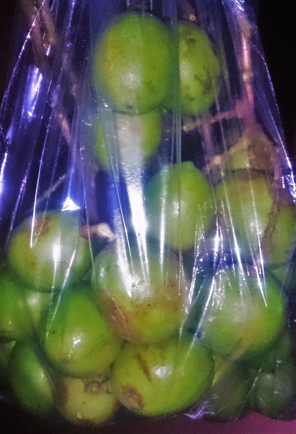 Poem: Guineps: Taste And&nbsp;Buy