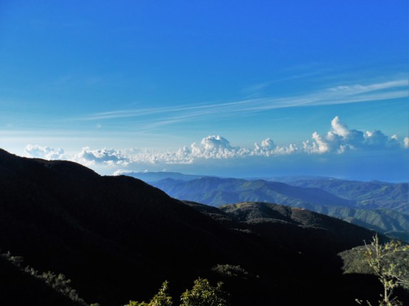 Blue Mountain (www.lifeofajamaican.wordpress.com)