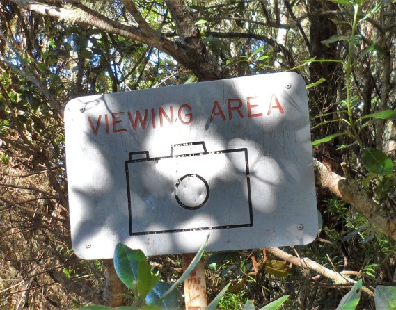 Many scenes to capture