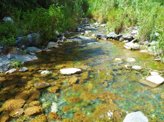 Blue Mountain Crossing the river