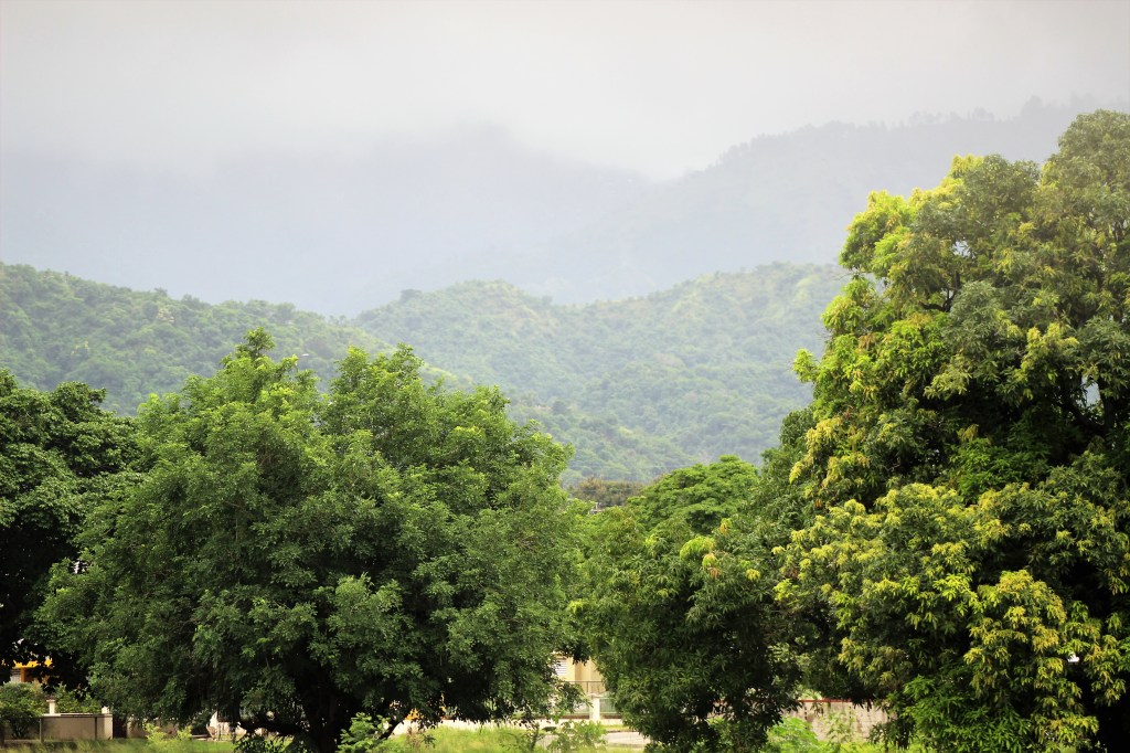 The Best Parish  To Visit In&nbsp;Jamaica